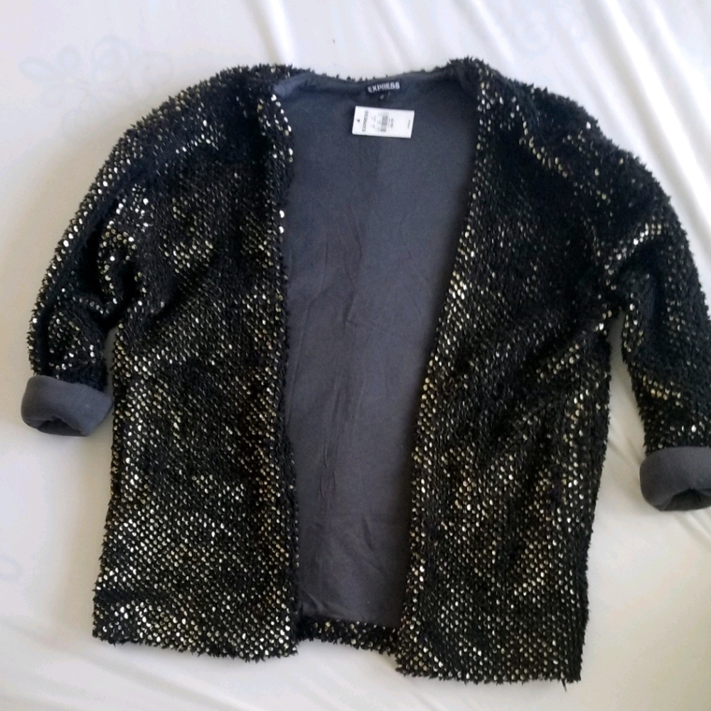 Express sequin sweater